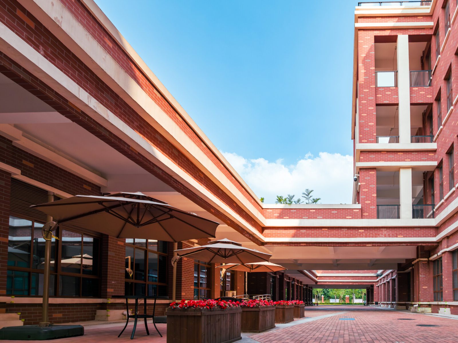 Campus 校园景观 4