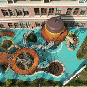 Eco-adventure park 奇想探险乐园3